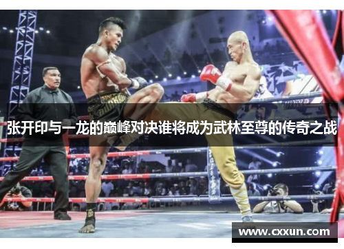 张开印与一龙的巅峰对决谁将成为武林至尊的传奇之战