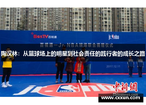 陶汉林：从篮球场上的明星到社会责任的践行者的成长之路